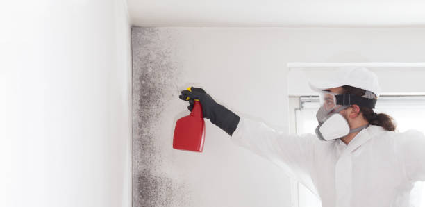 Mold Removal and Inspection in Greenbrier, TN